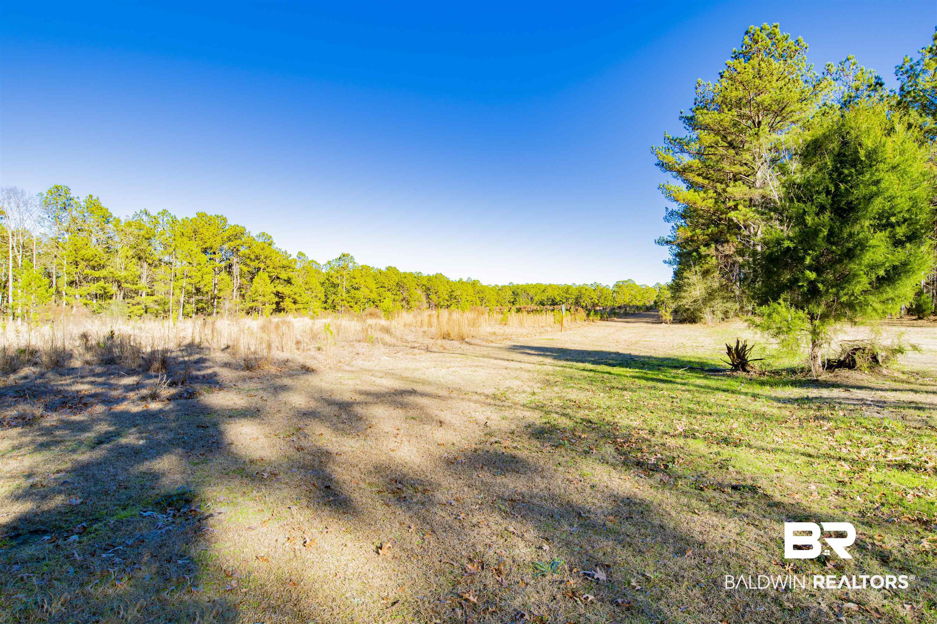 14500 Melvin Johnson Road Stapleton, AL 36578 - Photo 6 of 24 Gallery Image 6