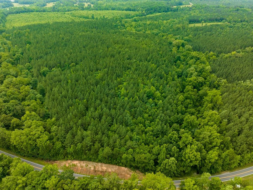 0 Mill Creek Road Roxboro, NC 27574 - Photo 12 of 54 Photo 12