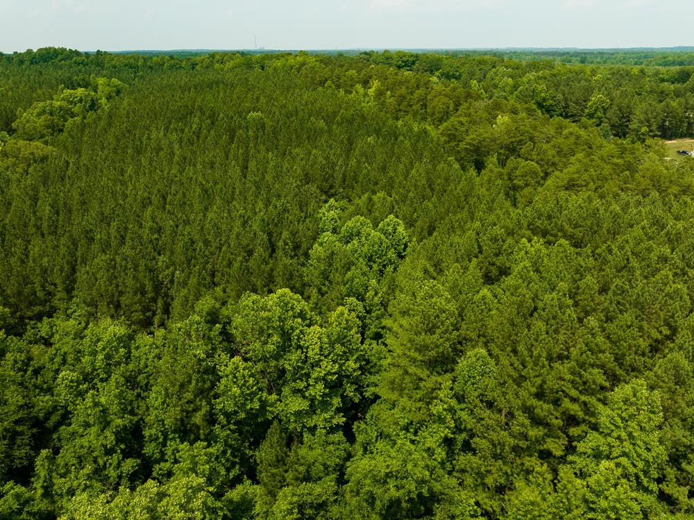 0 Mill Creek Road Roxboro, NC 27574 - Photo 18 of 54 a view of a lush green forest with a lush green forest