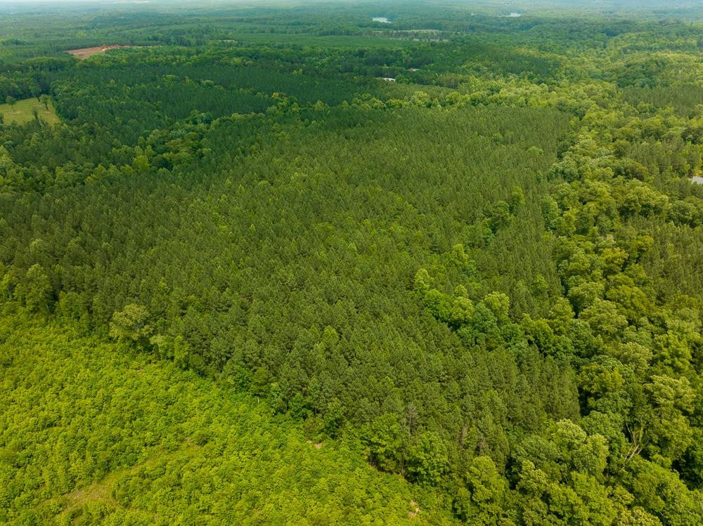 0 Mill Creek Road Roxboro, NC 27574 - Photo 20 of 54 a view of a field of grass and trees