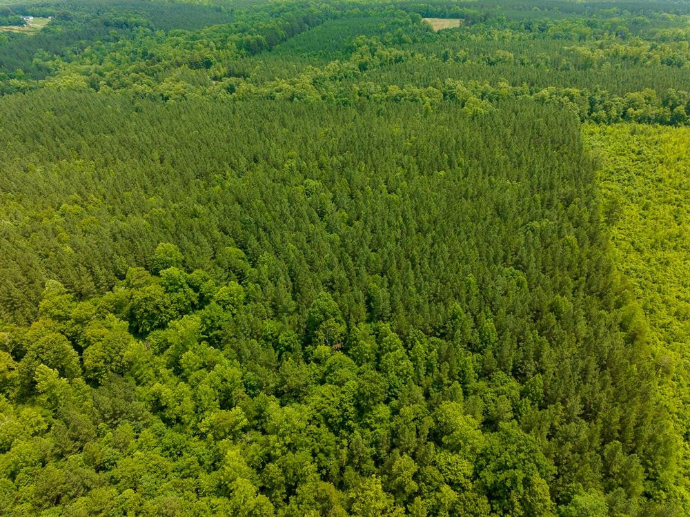 0 Mill Creek Road Roxboro, NC 27574 - Photo 29 of 54 a view of a lush green space