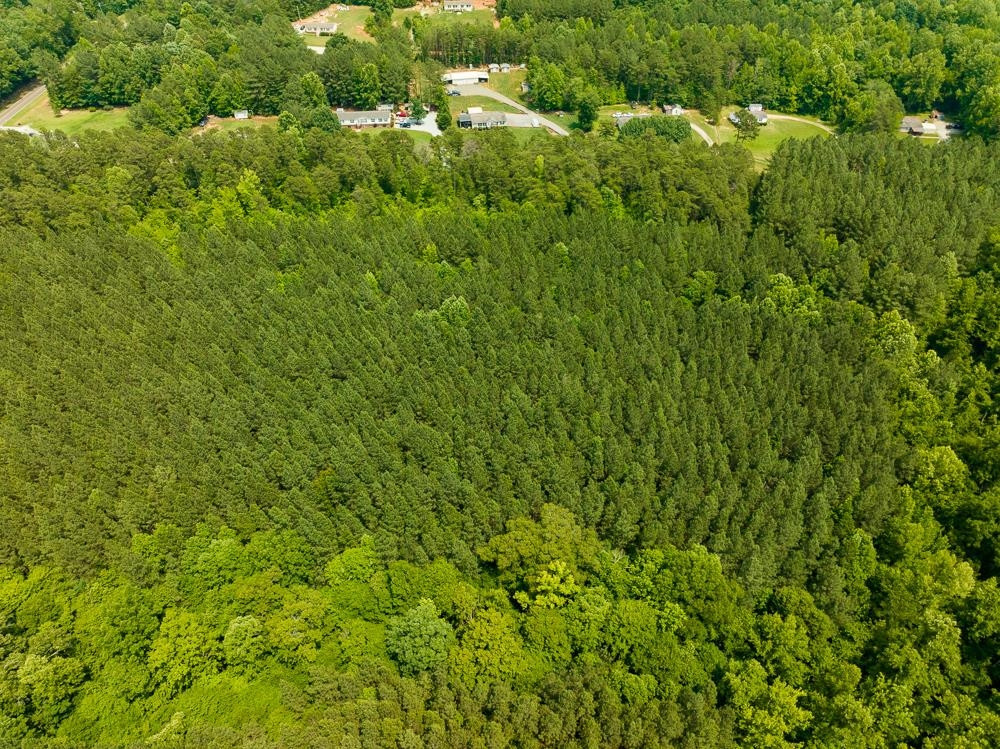 0 Mill Creek Road Roxboro, NC 27574 - Photo 37 of 54 a view of a lush green forest with lots of trees