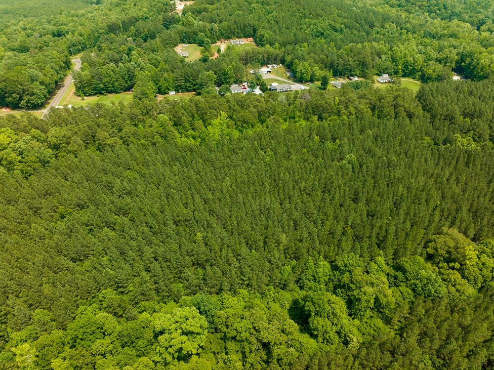 0 Mill Creek Road Roxboro, NC 27574 - Photo 43 of 54 a view of a lush green forest with lots of trees