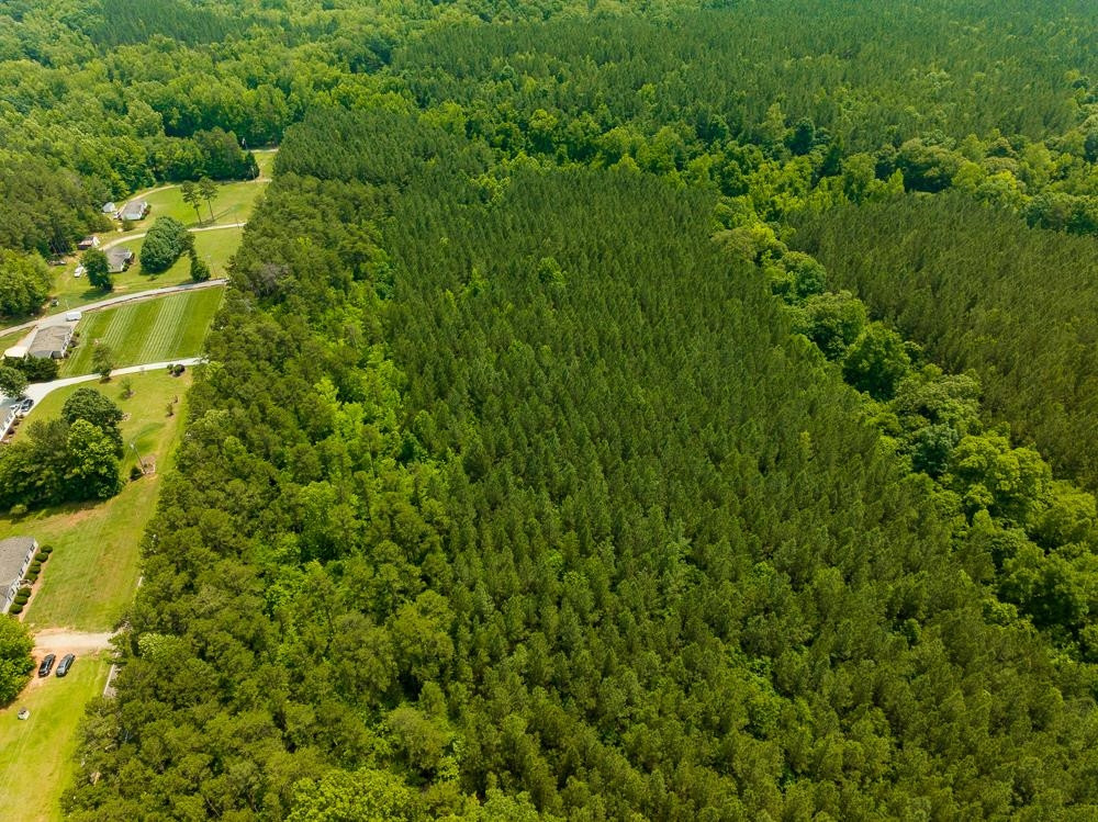 0 Mill Creek Road Roxboro, NC 27574 - Photo 44 of 54 a view of a big yard with lots of green space