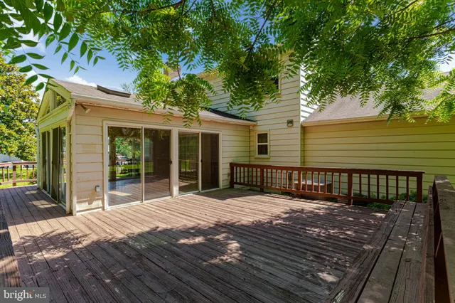 a view of backyard with large trees and wooden floor