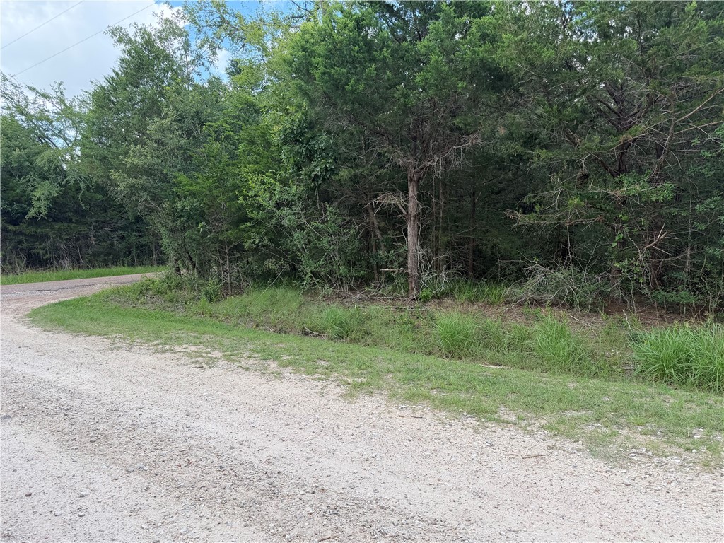 304 Overlook Loop Somerville, TX 77879 - Photo 6 of 17