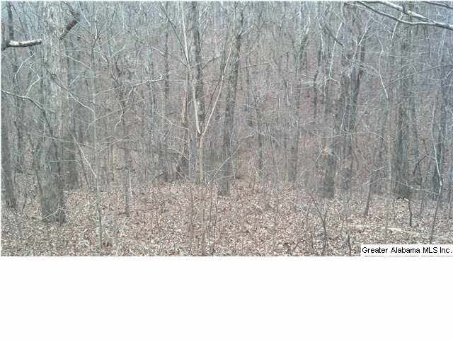 2018 Brickyard Road Sylacauga, AL 35150 - Photo 22 of 26