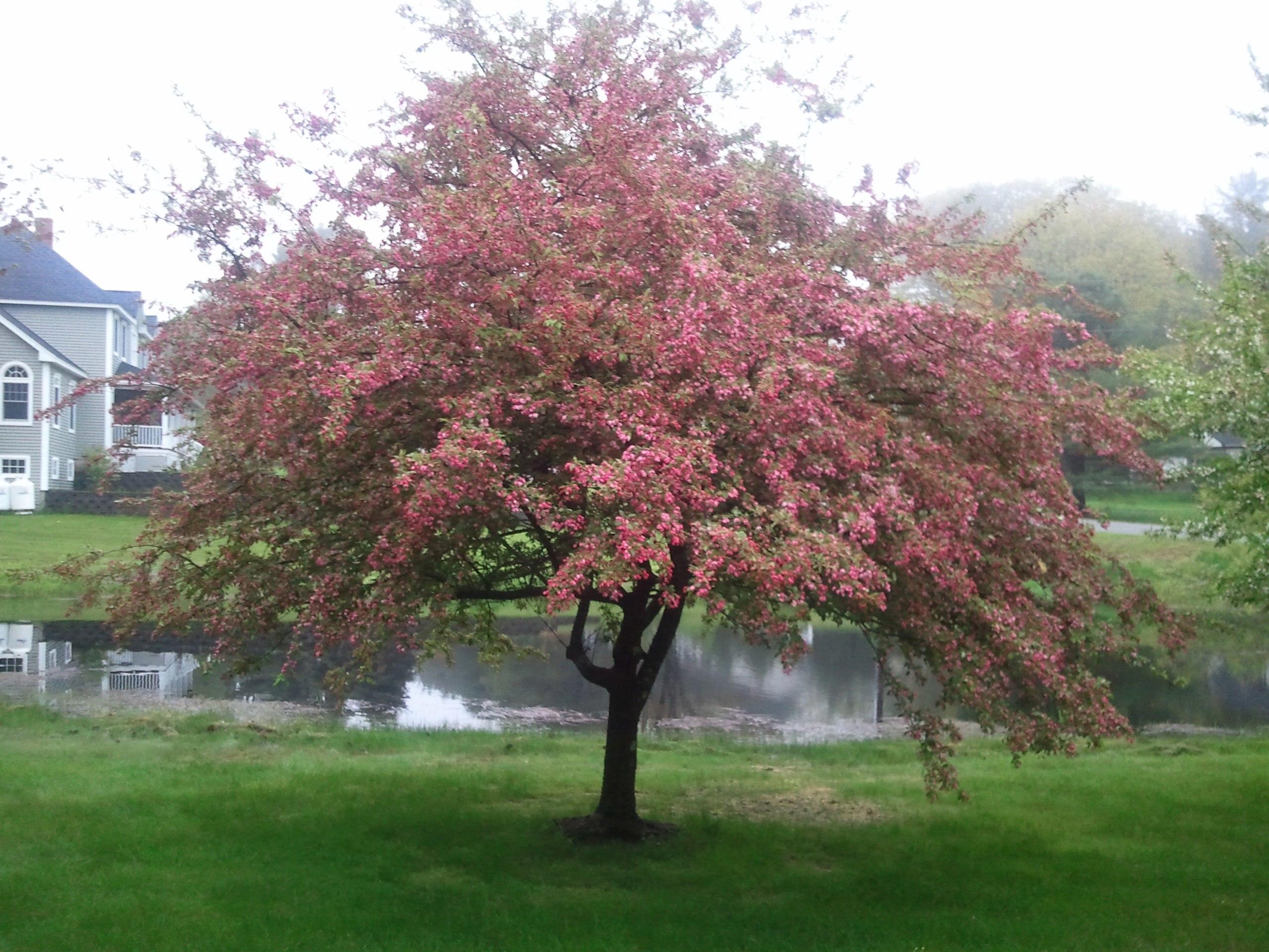 20110524_094112