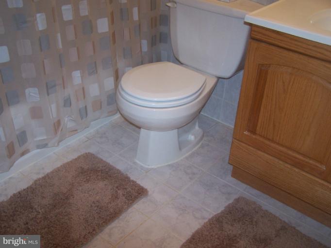 5422 Aylor Road Fairfax, VA 22032 - Photo 26 of 30 Bath (Master)