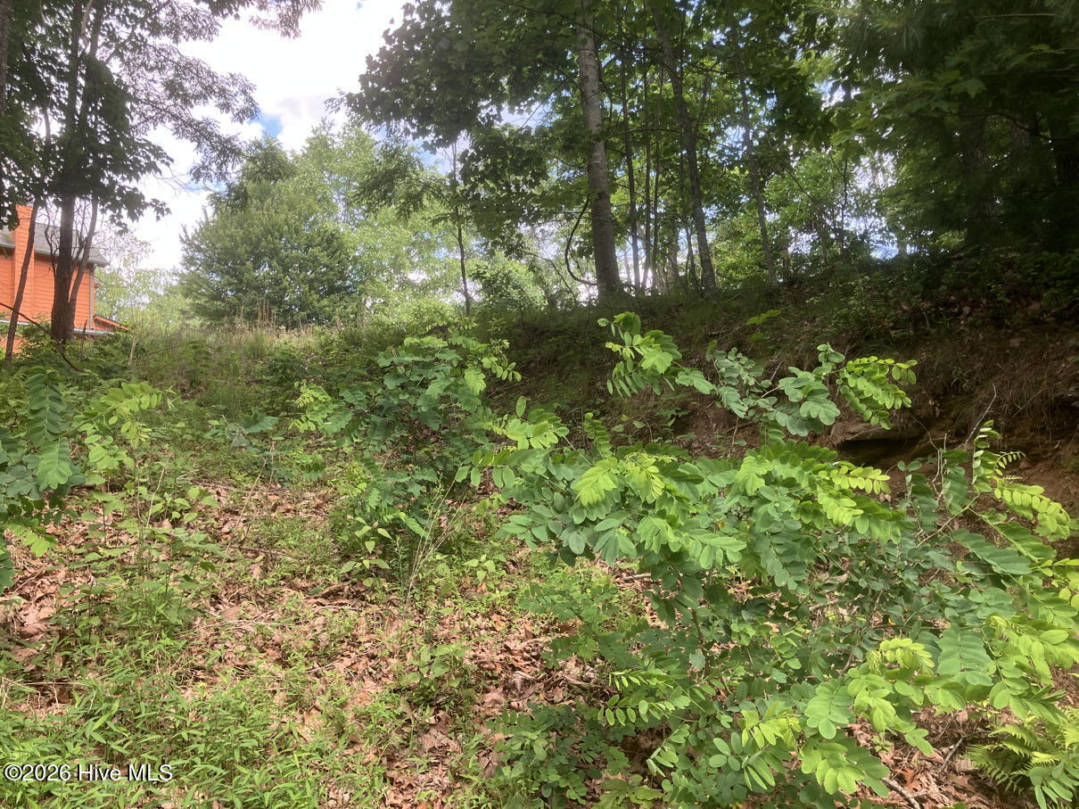 Lot 51 Buck Ridge Drive Murphy, NC 28906 - Photo 6 of 10