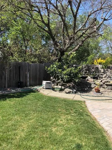 a view of a hallway with wooden floor and a potted plant