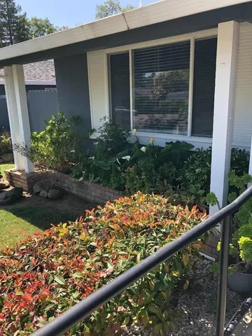 a view of a garden from a balcony