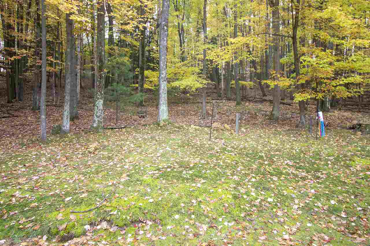 3620 Holiday Road Traverse City, MI 49686 - Photo 29 of 34 1881304-28.JPG