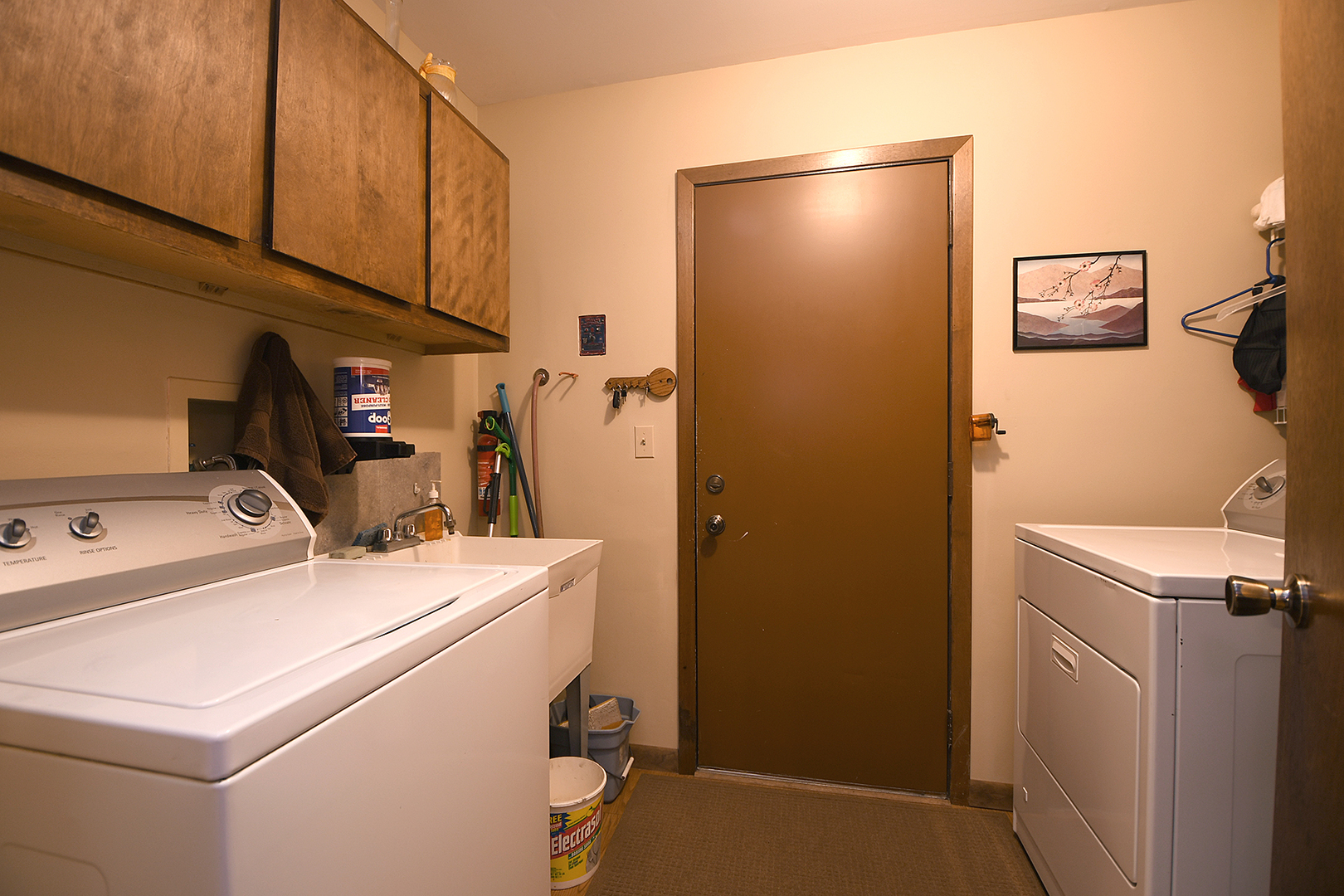 12612 West Hadley Road Homer Glen, IL 60491 - Photo 18 of 39 a utility room with dryer and washer