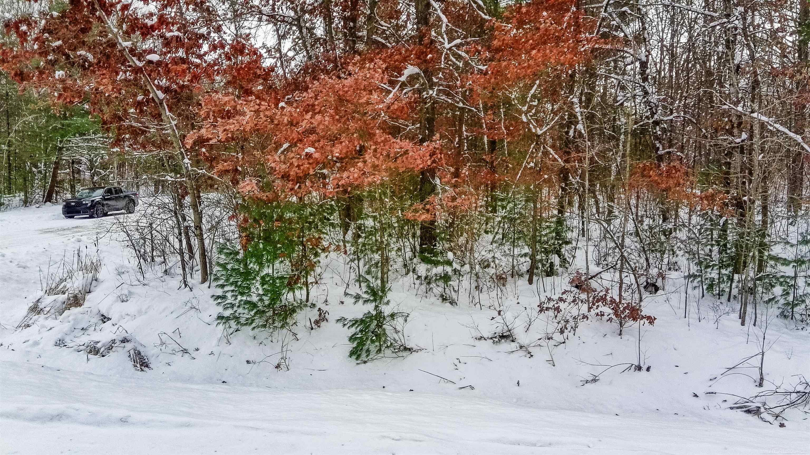 0 North Dagget Road Howard City, MI 49329 - Photo 24 of 25