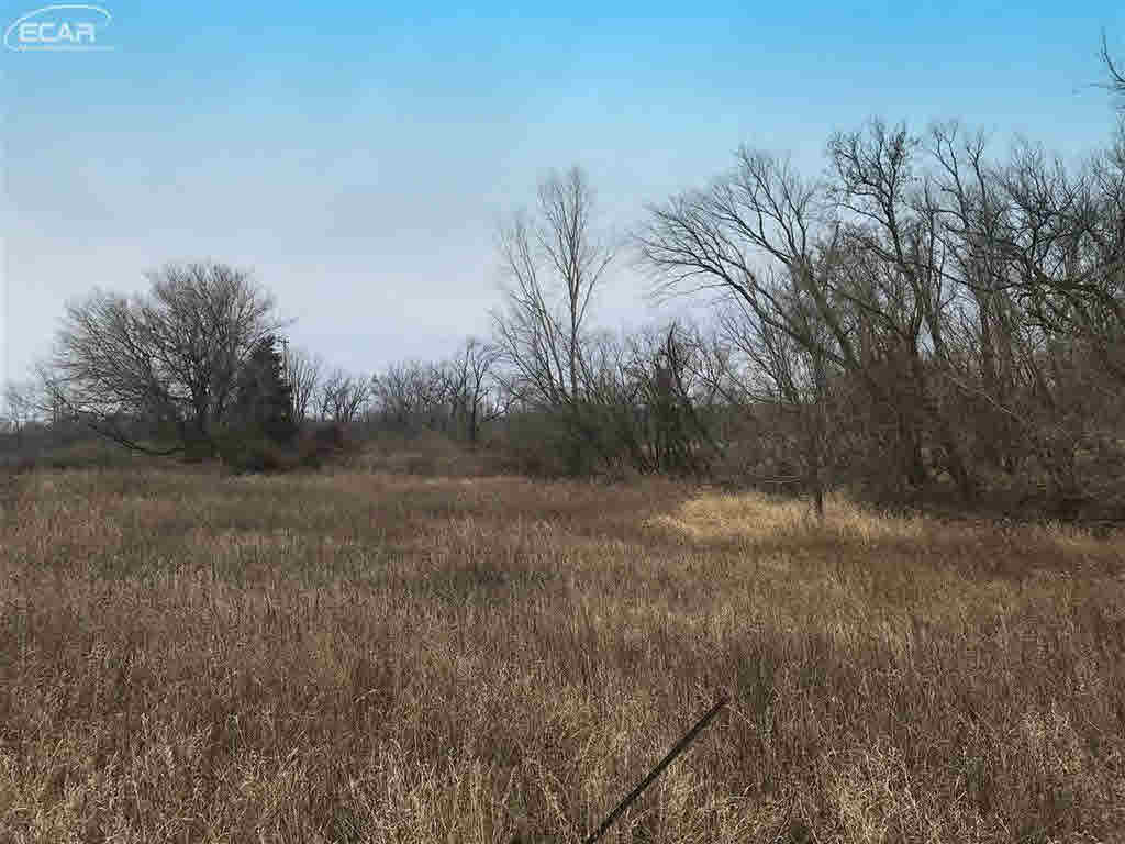 0 East Bennington Road Owosso, MI 48867 - Photo 3 of 5