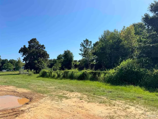 a view of a grassy field with trees