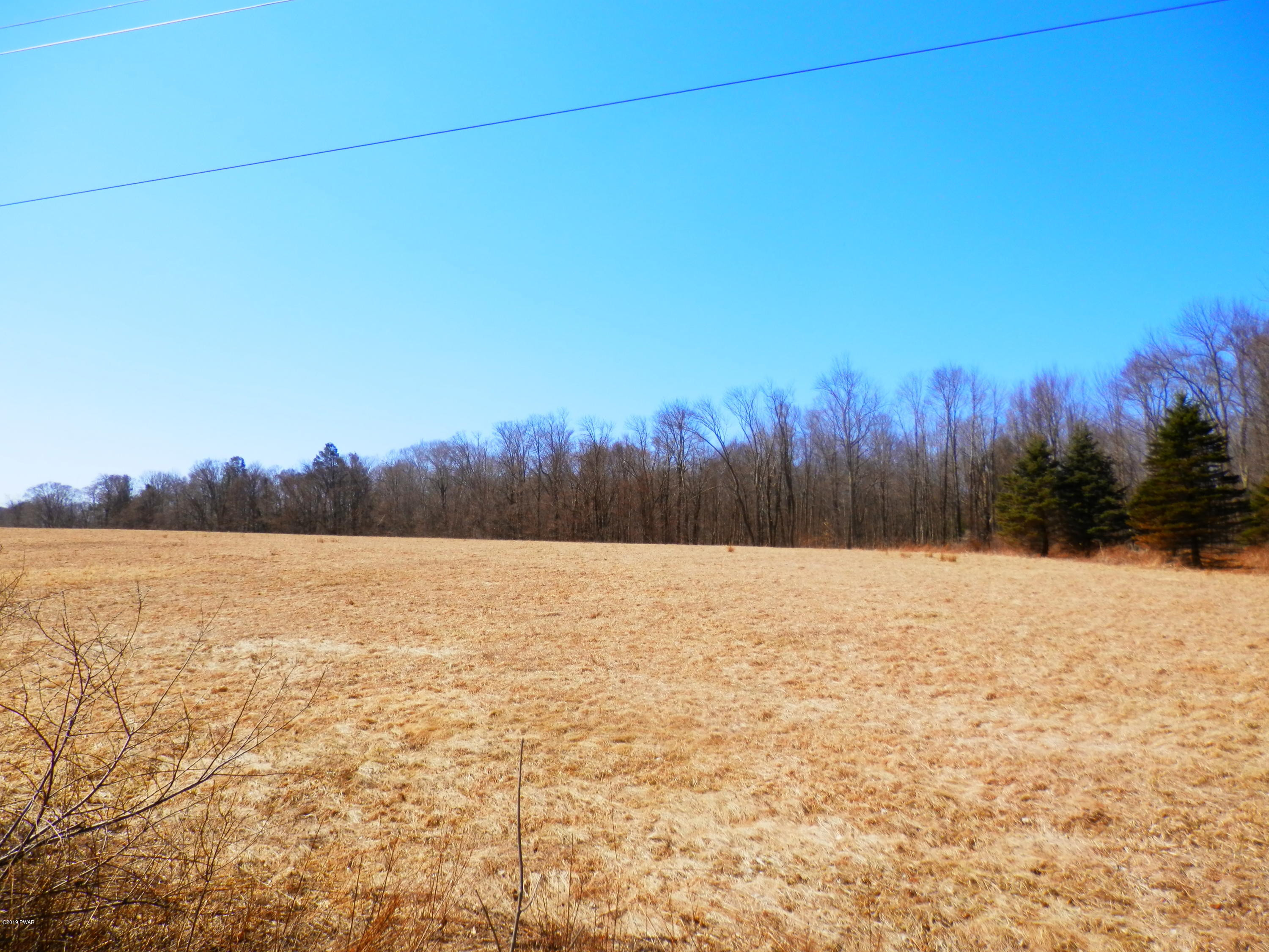 135 Prompton Road Honesdale, PA 18431 - Photo 36 of 37 STATE LANDS