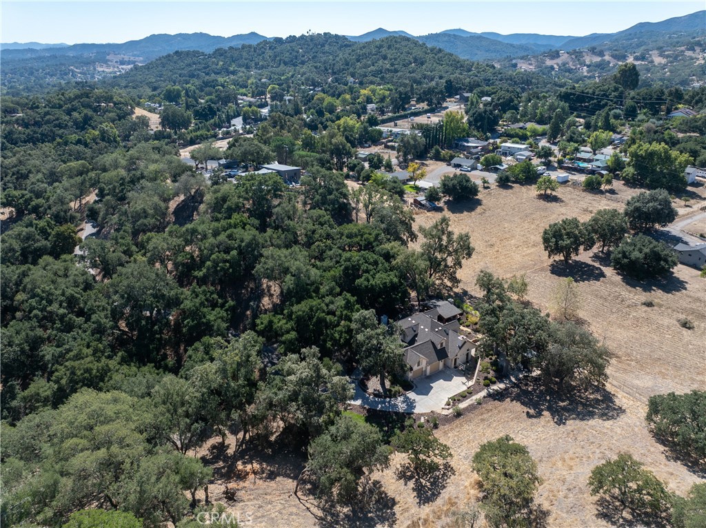 6360 Navarette Avenue Atascadero, CA 93422 - Photo 72 of 75 a view of a forest with a mountain in the background