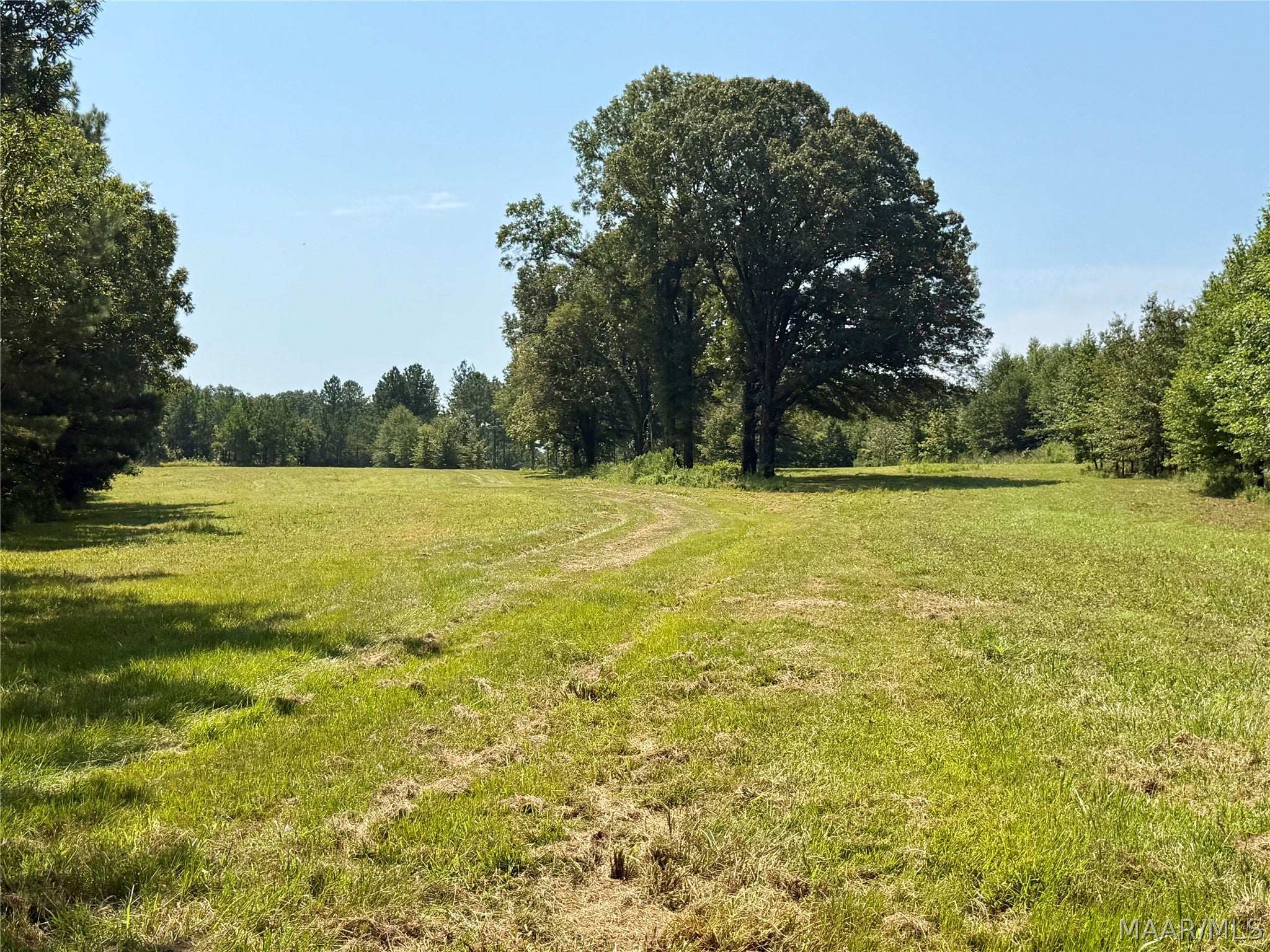 0 County Road 2 Road Hardaway, AL 36039 - Photo 2 of 24 Gallery Image 2