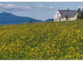 4200 Stowe Hollow Road Stowe, VT 05672 - Photo 1 of 1 Gallery Image 1