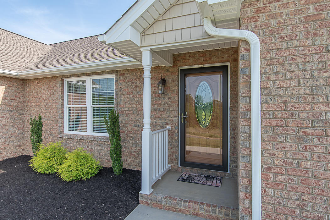 278 Ridgley Lane Fincastle, VA 24090 - Photo 4 of 38 I'm Gorgeous!!