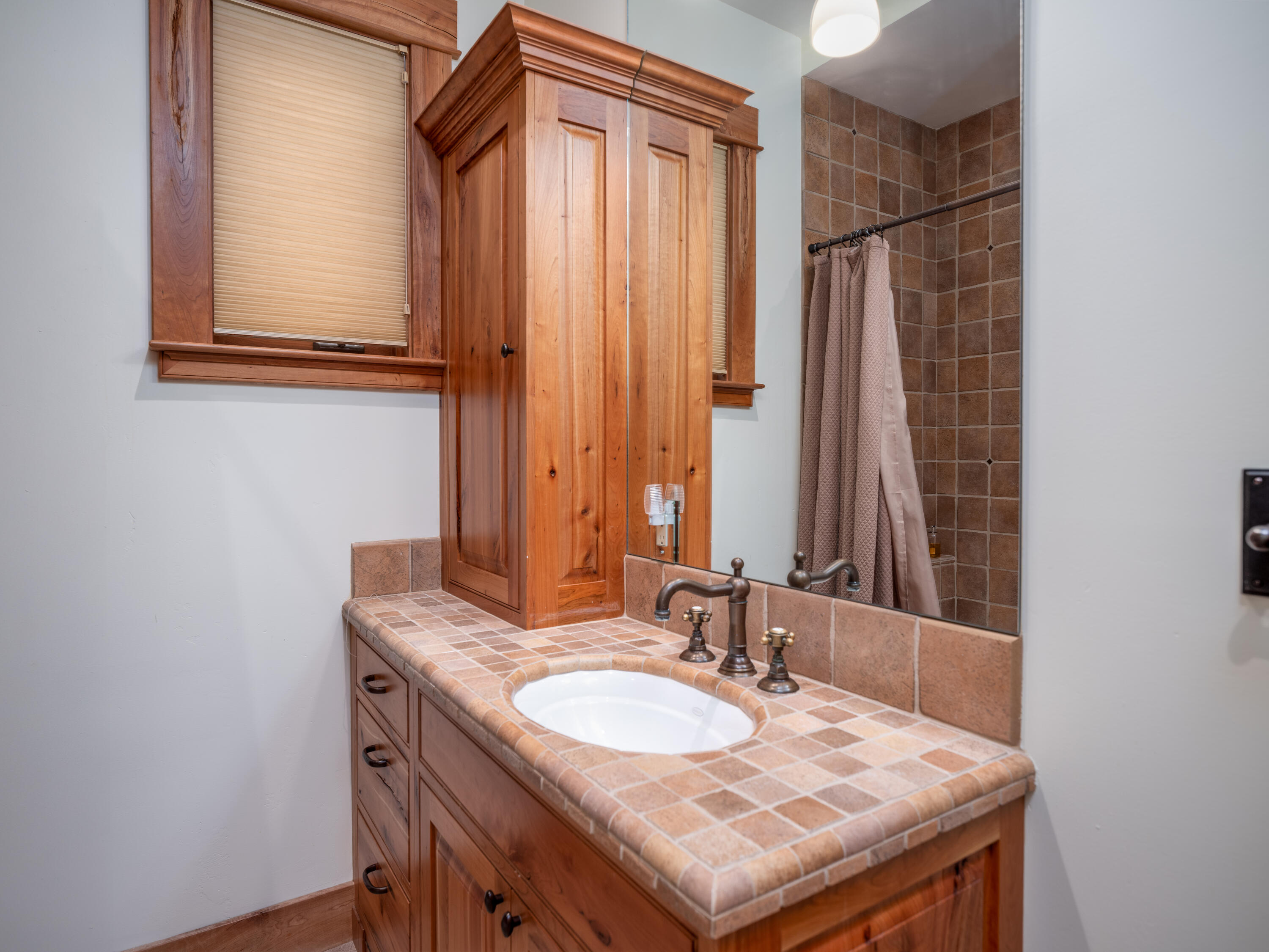 210 South Sunset Ridge Drive Telluride, CO 81435 - Photo 20 of 32 210 S Sunset Ridge Drive-31