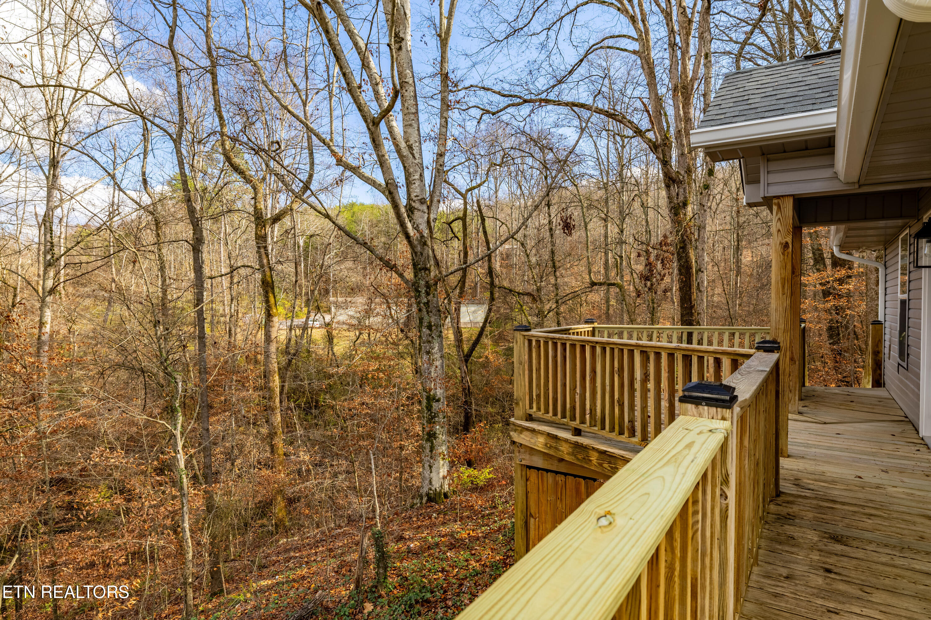 3883 Freels Road Friendsville, TN 37737 - Photo 36 of 45 3883FreelsRd-30