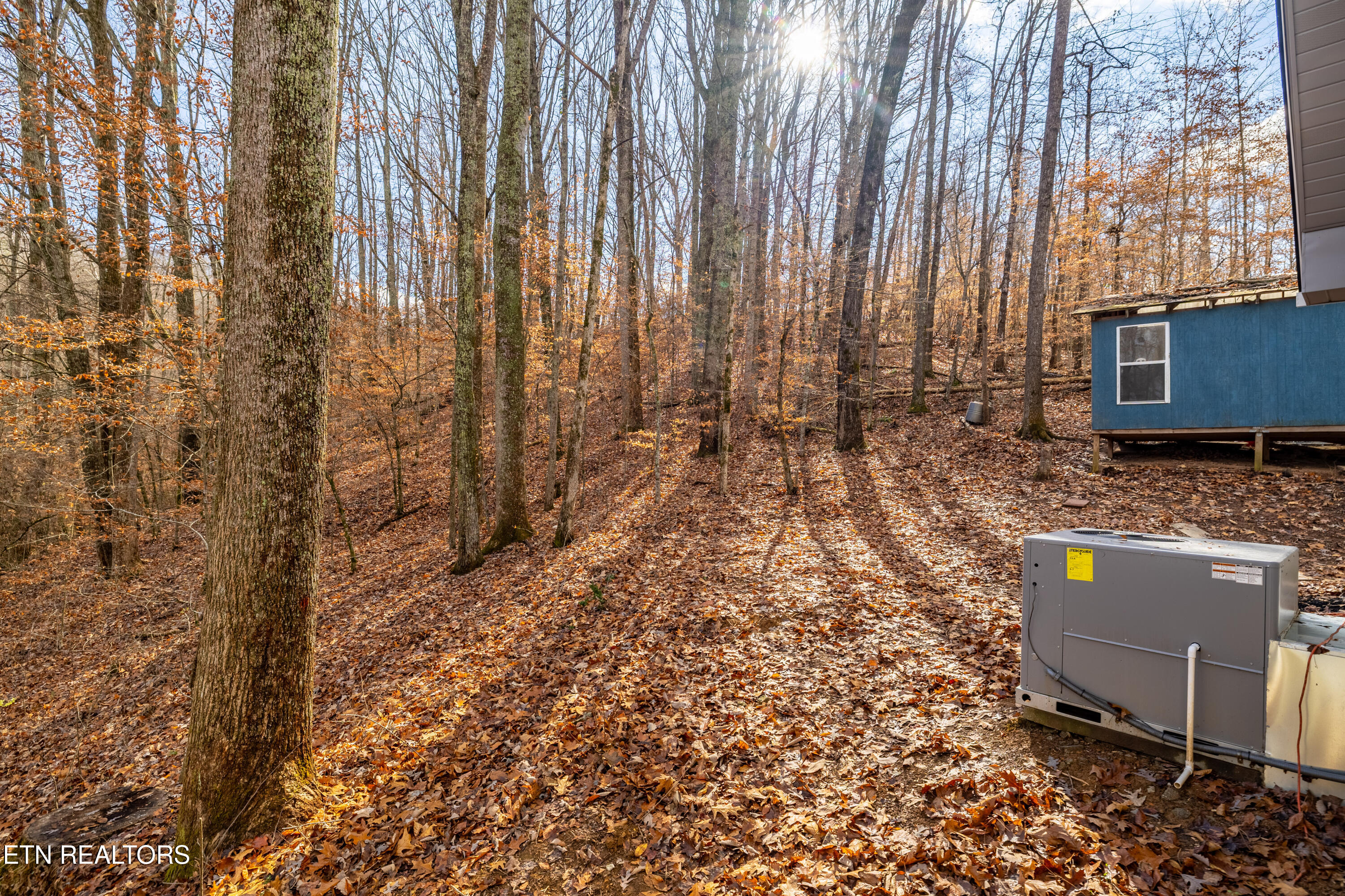 3883 Freels Road Friendsville, TN 37737 - Photo 39 of 45 3883FreelsRd-33