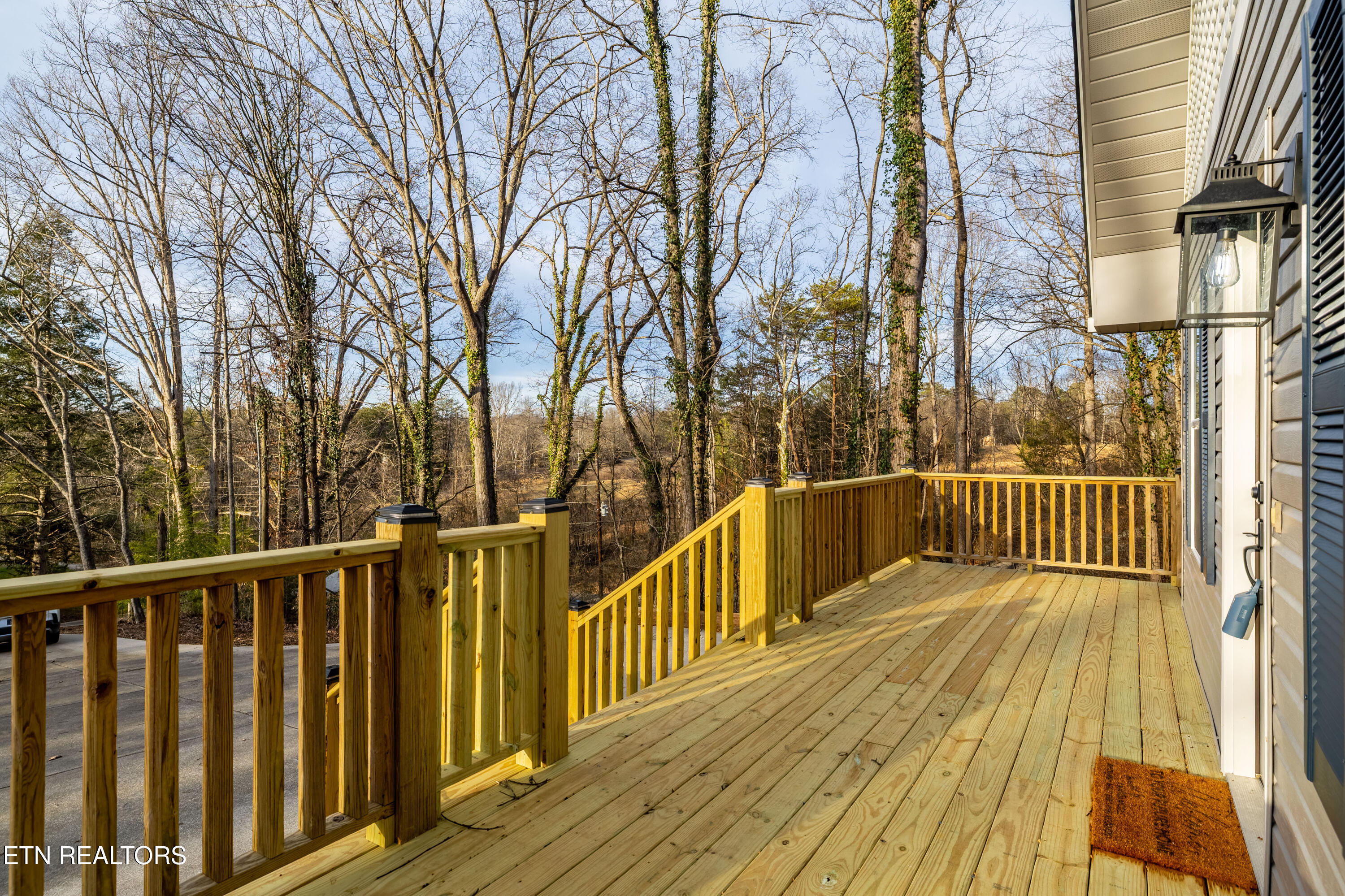 3883 Freels Road Friendsville, TN 37737 - Photo 43 of 45 3883FreelsRd-107