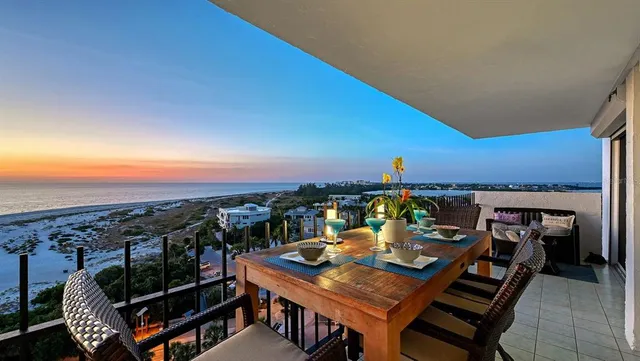 a view of a backyard with plants and palm tree