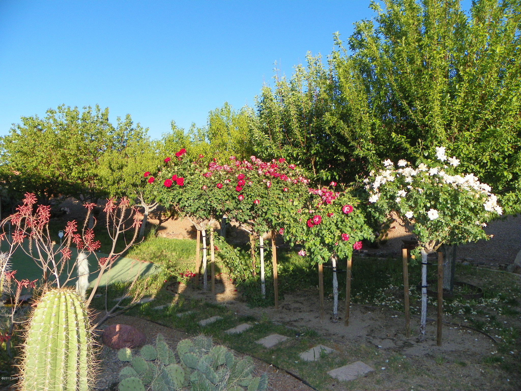 361 Piazza El Signori Rio Rico, AZ 85648 - Photo 25 of 27