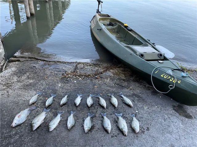 a view of a park with swings