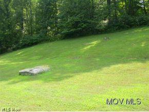 1008 Hebron Road St. Marys, WV 26170 - Photo 3 of 9 Lawn View