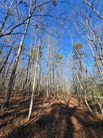 $42,500 | 3 Savage Highland Drive, Coalmont, TN 37313