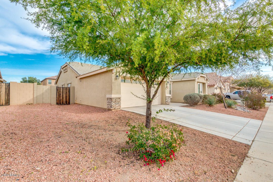 17776 West Charter Oak Road Surprise, AZ 85388 - Photo 29 of 35 a house with trees in front of it