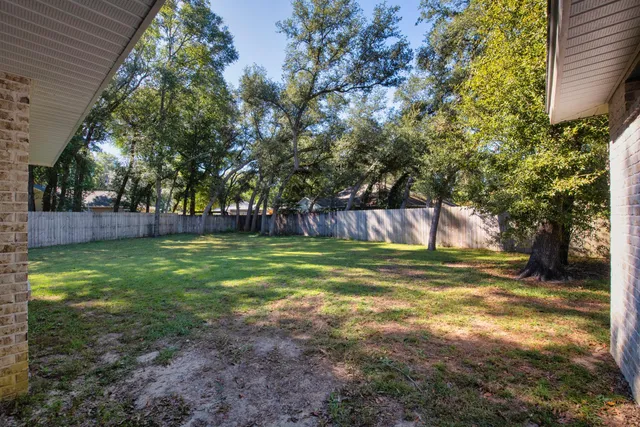 a view of a yard with a tree
