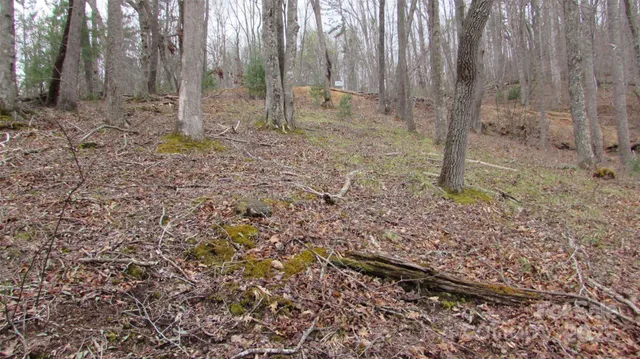 a view of a backyard with trees