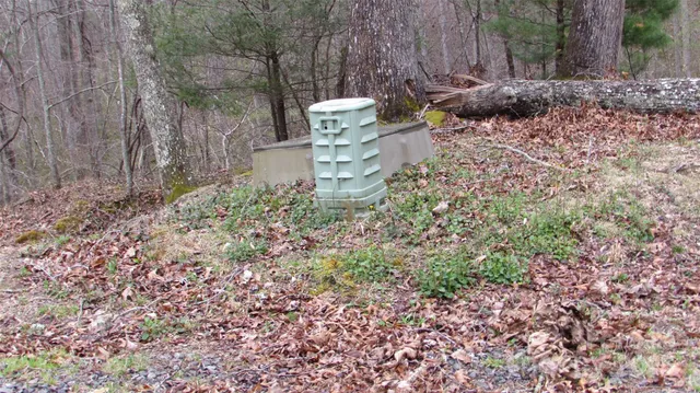 a view of a garden with large trees