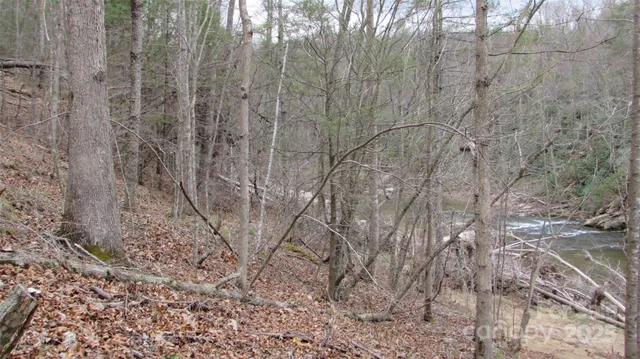 a view of a dry yard with trees in the background