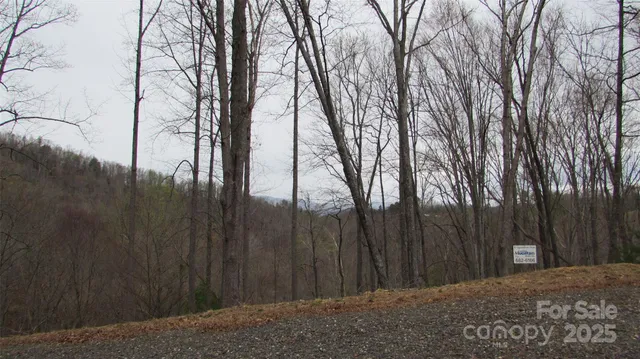 a view of backyard with trees