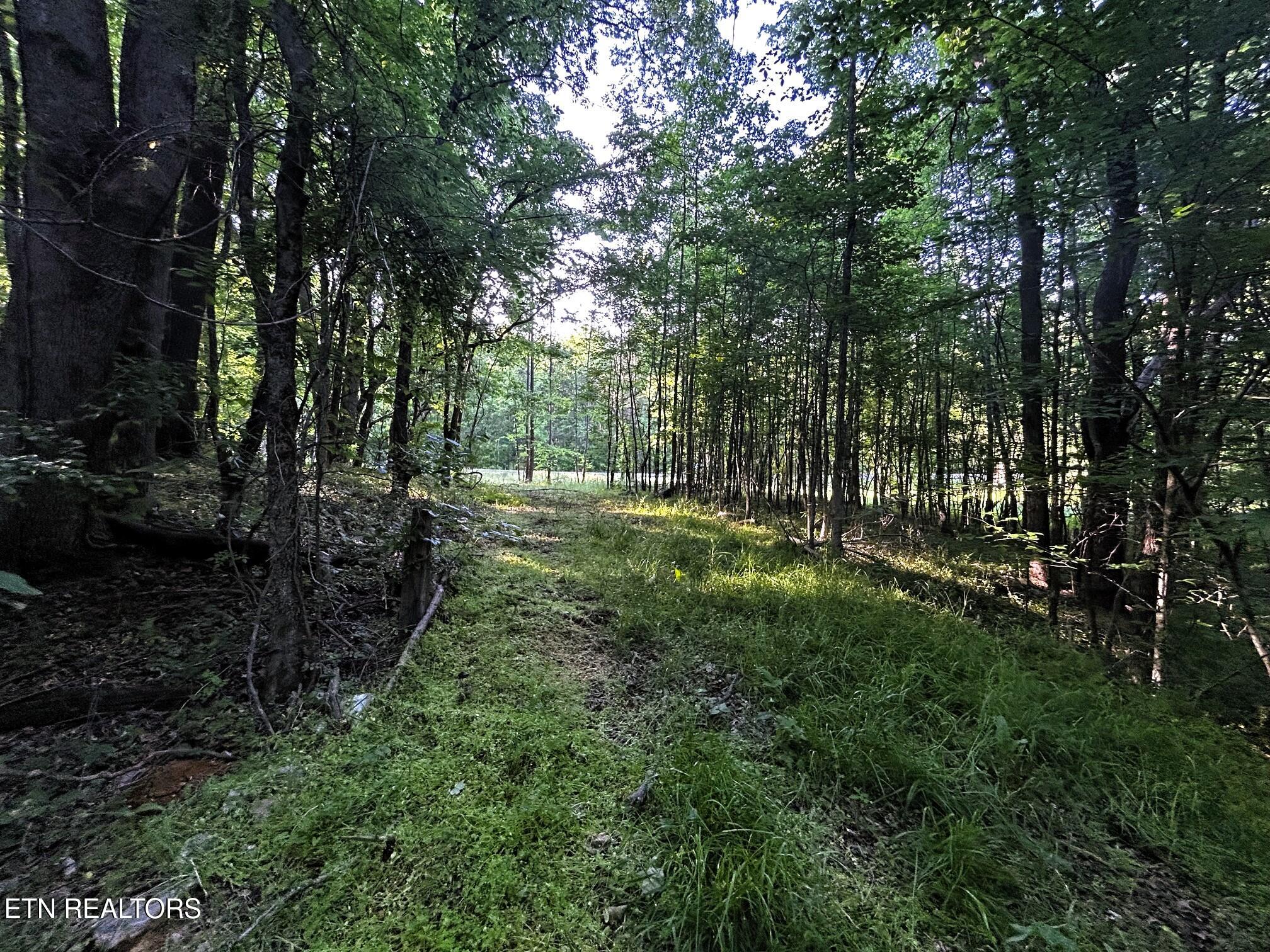 9 Pleasant Hill Road Ten Mile, TN 37880 - Photo 13 of 32 PH 9 13