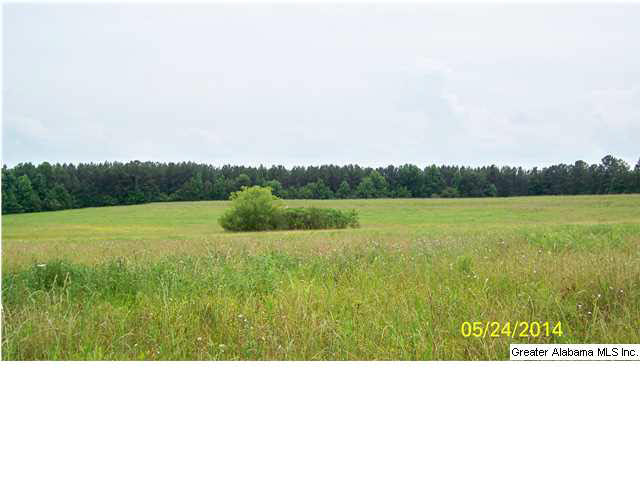 18 County Road, Unit 33 Bremen, AL 35033 - Photo 6 of 9