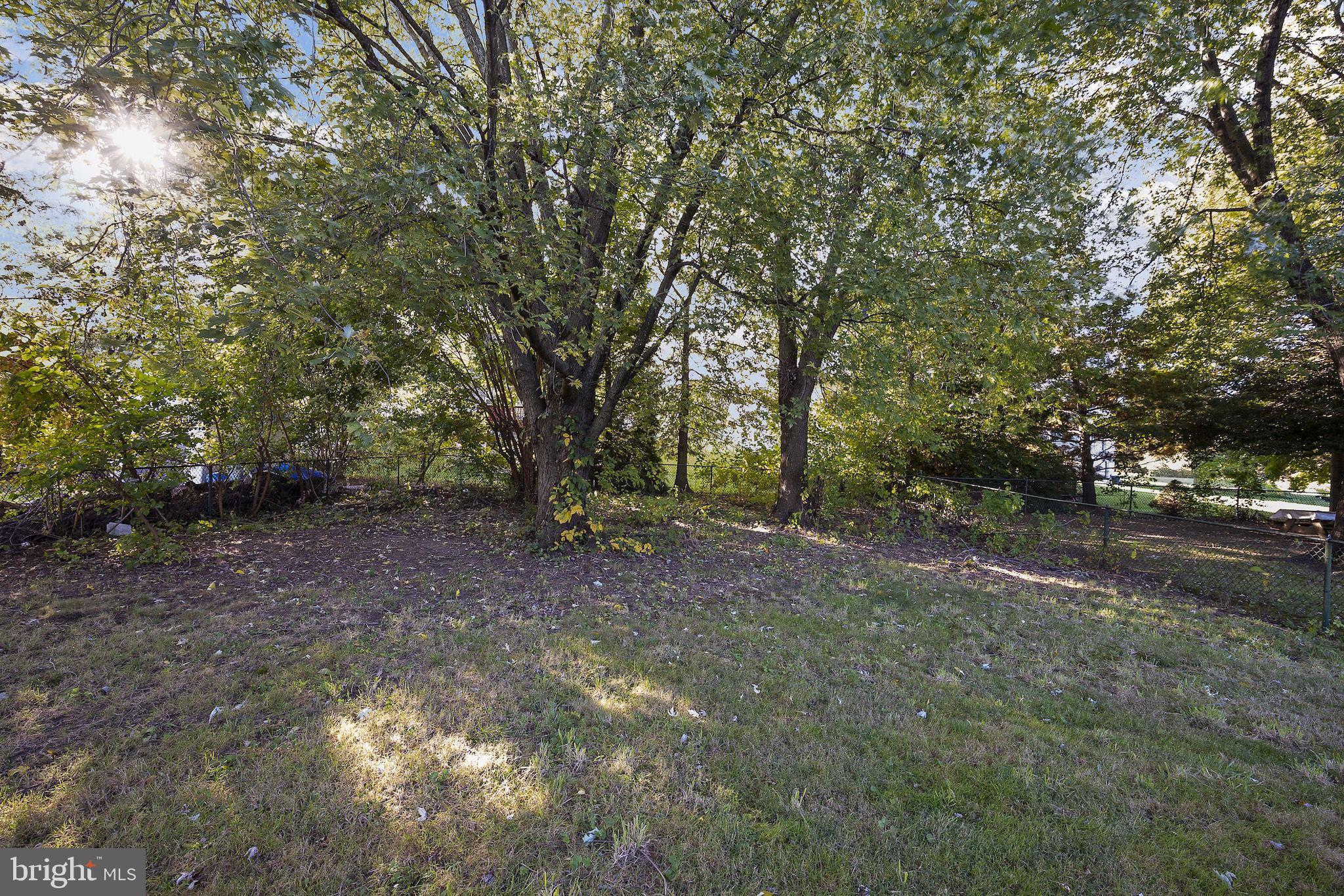 821 South Woodlynn Road Baltimore, MD 21221 - Photo 28 of 32 a view of a forest with trees in the background