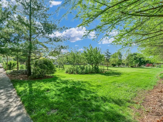 a view of a big yard with plants and large trees