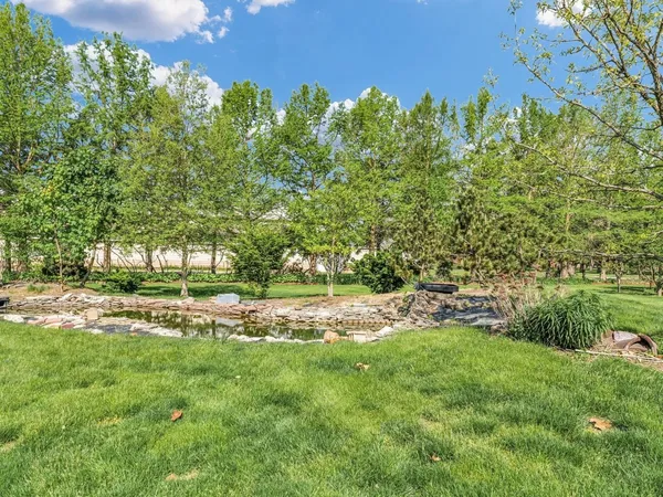 a view of a yard with plants and large trees