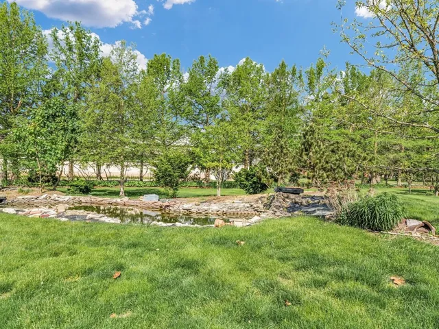 a view of a yard with plants and large trees