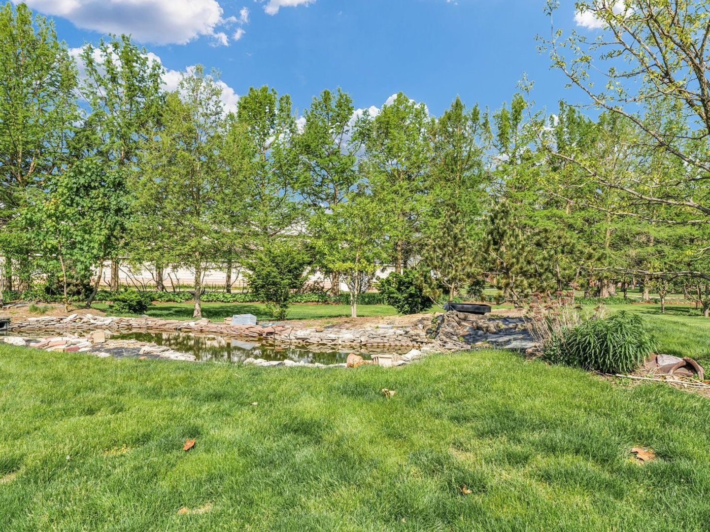810 South Century Boulevard Rantoul, IL 61866 - Photo 19 of 32 a view of a yard with plants and large trees