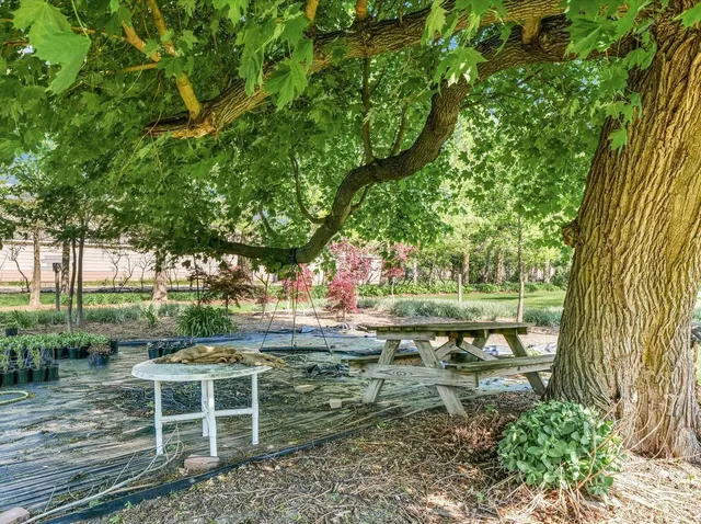 a garden view with a seating space