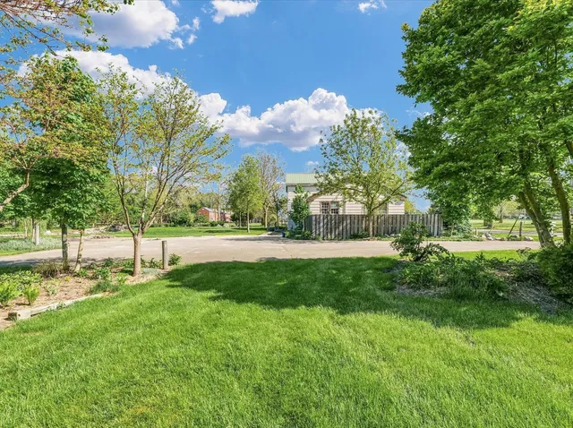 a view of backyard with tree
